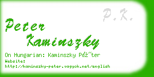 peter kaminszky business card